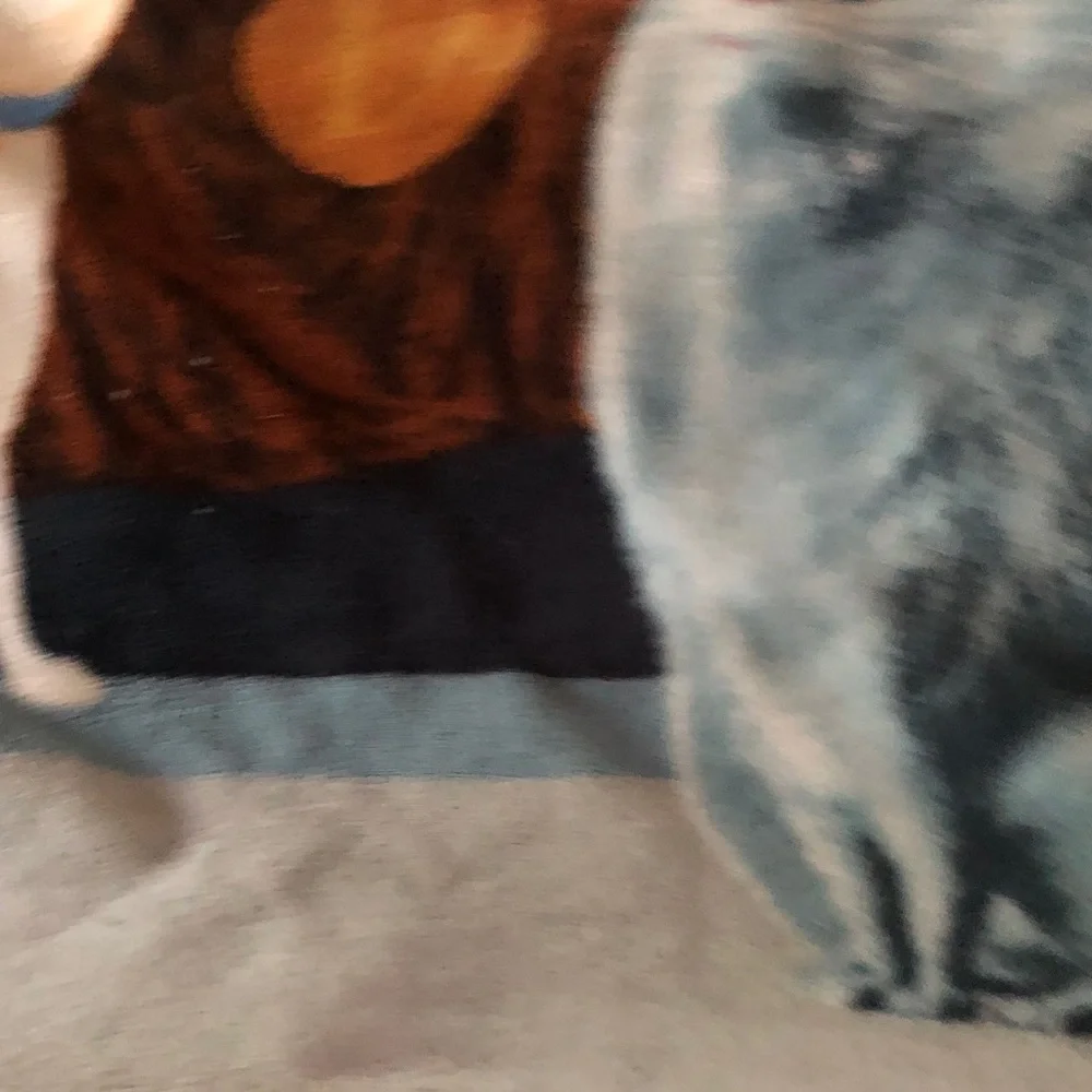 Animated Character Plush Throw Blanket in Brown and Light Blue